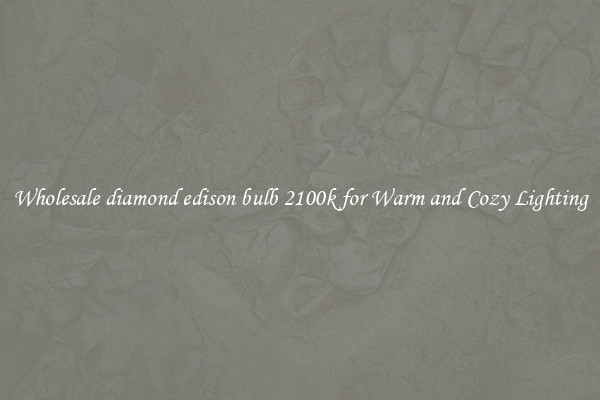 Wholesale diamond edison bulb 2100k for Warm and Cozy Lighting