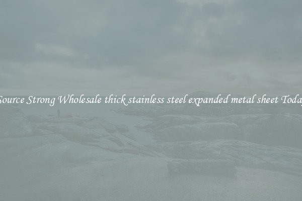 Source Strong Wholesale thick stainless steel expanded metal sheet Today