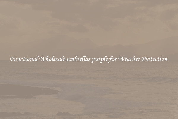 Functional Wholesale umbrellas purple for Weather Protection 