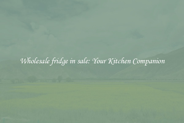 Wholesale fridge in sale: Your Kitchen Companion