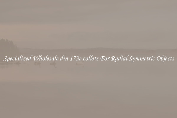 Specialized Wholesale din 173e collets For Radial Symmetric Objects