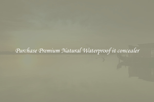 Purchase Premium Natural Waterproof it concealer