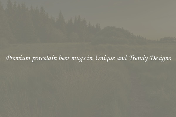 Premium porcelain beer mugs in Unique and Trendy Designs