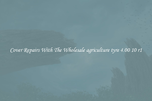  Cover Repairs With The Wholesale agriculture tyre 4.00 10 r1 