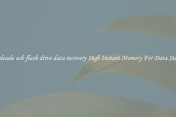 Wholesale usb flash drive data recovery 16gb Instant Memory For Data Storage