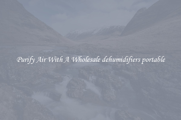 Purify Air With A Wholesale dehumidifiers portable