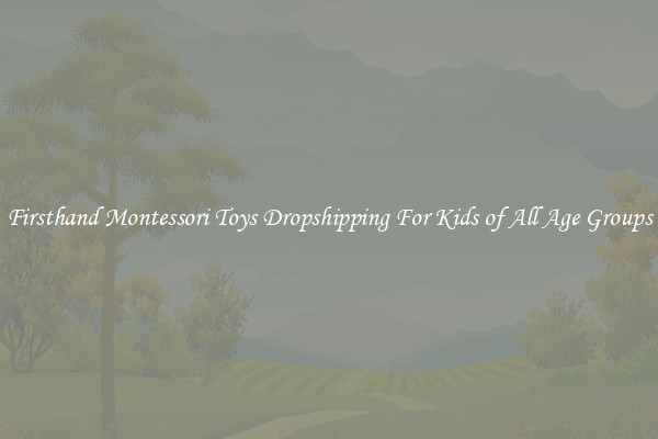 Firsthand Montessori Toys Dropshipping For Kids of All Age Groups