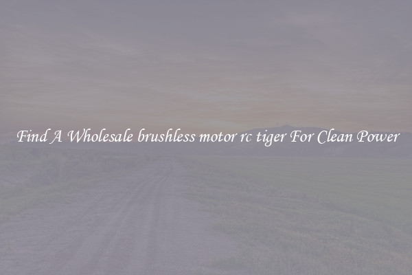 Find A Wholesale brushless motor rc tiger For Clean Power