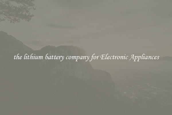 the lithium battery company for Electronic Appliances
