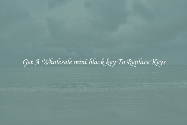 Get A Wholesale mini black key To Replace Keys