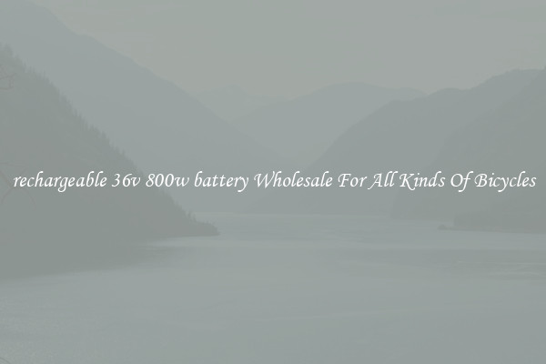 rechargeable 36v 800w battery Wholesale For All Kinds Of Bicycles