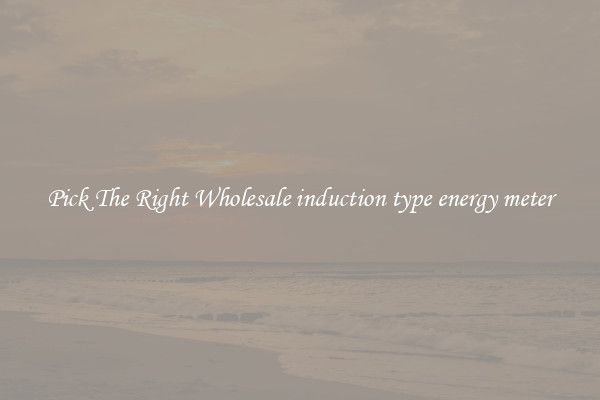 Pick The Right Wholesale induction type energy meter