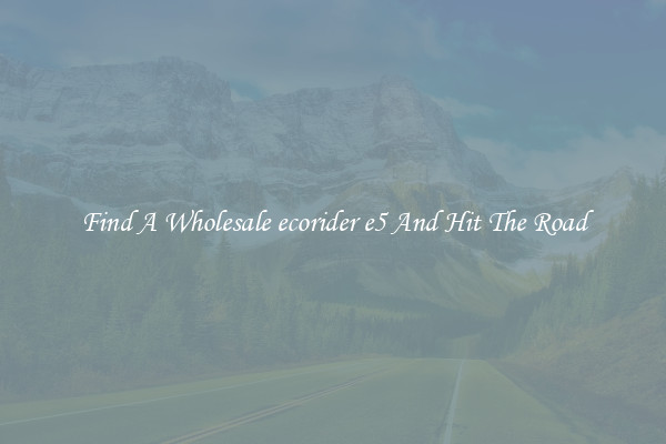 Find A Wholesale ecorider e5 And Hit The Road