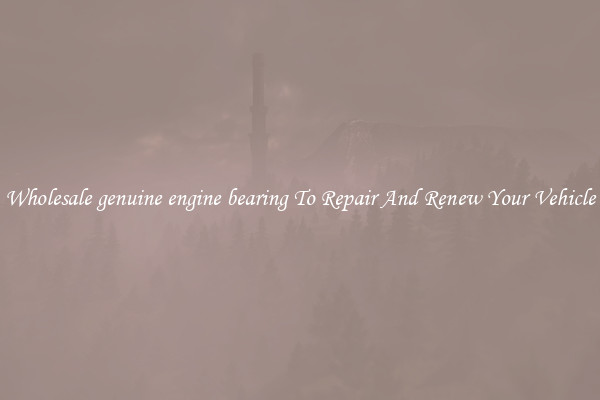 Wholesale genuine engine bearing To Repair And Renew Your Vehicle