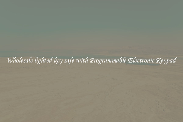 Wholesale lighted key safe with Programmable Electronic Keypad 