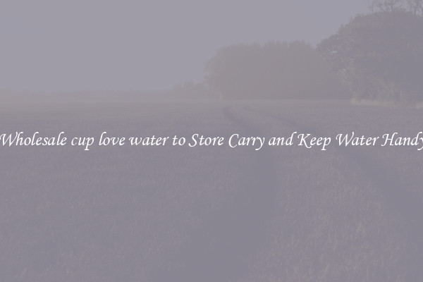 Wholesale cup love water to Store Carry and Keep Water Handy